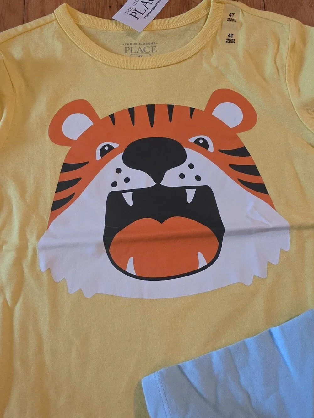 The Children's Place Kids Tee Bundle